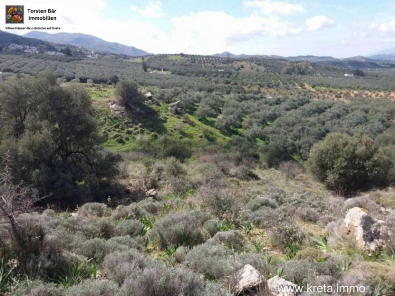 Peritz Kreta, Peri Grundstück 3.290m² mit Baugenehmigung Grundstück kaufen